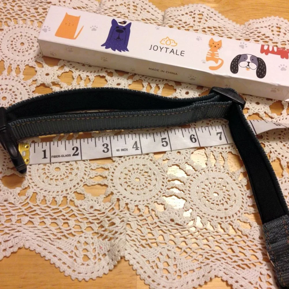 Joytale Pet Collar, Size Medium